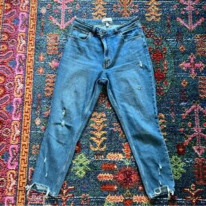 Curve Love Skinny High Rise